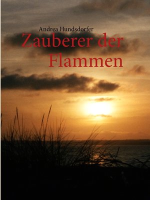 cover image of Zauberer der Flammen